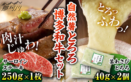 博多和牛 サーロインステーキ(250g×1)×自然薯茎わさびとろろ(40g×2)セット [MEATPLUS×自然薯王国]那珂川市[GBW130]15000 15000円