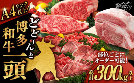 [一頭丸ごとオーダー!] 博多和牛 一頭食べ尽くしセット[株式会社MEAT PLUS]那珂川市