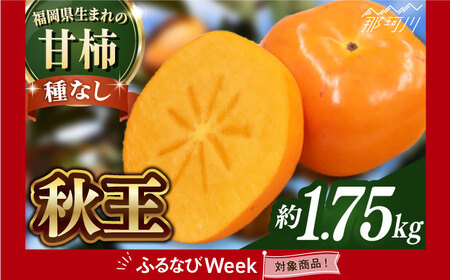 [ふるなびWEEK対象][2025年10月以降発送]福岡より直送! 種がほとんどない新ブランド 柿 秋王 約1.75kg[一般社団法人地域商社ふるさぽ]那珂川市[GBX050] FN-Limited