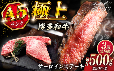 [全3回定期便]極上 博多和牛 A5ランク サーロイン ステーキ 250g×2枚 [KRAZY MEAT] 那珂川市