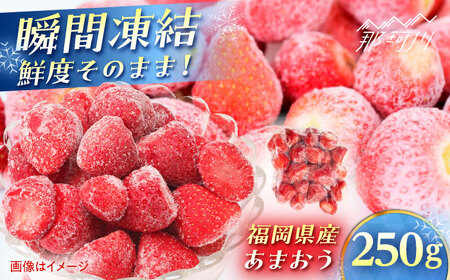 福岡県産 冷凍あまおう250g(250g×1個) [木村食品] 那珂川市