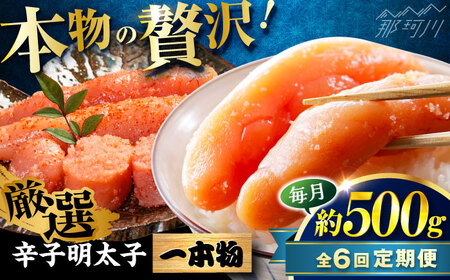 yS6ցz Fhqq({)(500g) ؑHi ߉ϐs[GFV028]