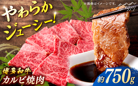a@Jrē@750ʎВc@ln揤Ђӂ邳ہ ߉ϐs[GBX078]