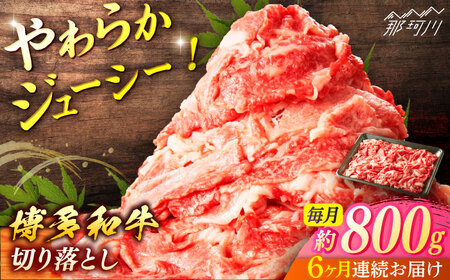 yS6ցza@ؗi800×6jʎВc@ln揤Ђӂ邳ہ ߉ϐs[GBX137]