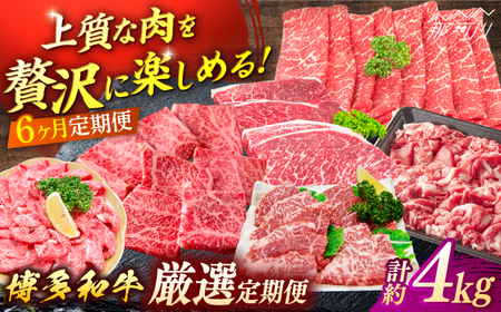 博多和牛 厳選定期便全6回[一般社団法人地域商社ふるさぽ] 那珂川市
