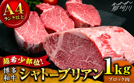 [希少部位!]博多和牛 シャトーブリアン ブロック 1kg [肉のくまもと屋]那珂川市