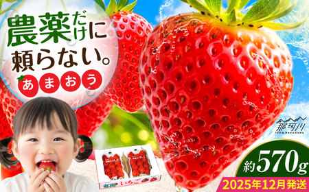 [2025年12月より発送]『自然環境農法』で育てた福岡県産 あまおう 約285g×2パック[おおきベリー株式会社]那珂川市