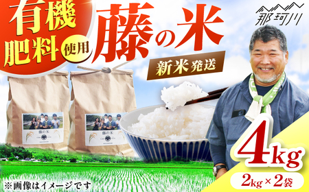 令和7年度産 新米 藤の米(ふじのまい) 4kg(2kgx2)[GCO002] 新米 ご飯