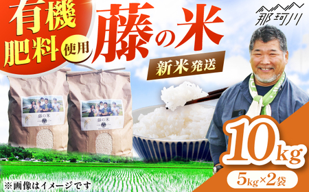 [新米]ふじのまい 10kg(5kg×2) GCO004 新米