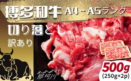 �y�󂠂�z�yA4�`A5�����N�z�����a�� �؂藎�Ƃ� 500���i250g×2�j[GFR052]