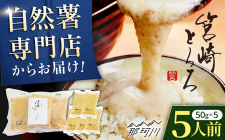 筥崎とろろ 自然薯のだしわりとろろ 計250g(5食セット × 50g) 冷凍 個包装 無添加 [株式会社九千部] 那珂川市