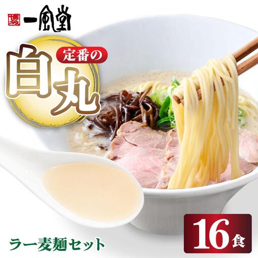 福岡県産 ラー麦使用 現地でたべたい！ 「一風堂」白丸 ラー麦麺セット16食（8食入り×2セット）