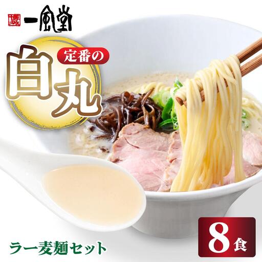 福岡県産 ラー麦使用 現地でたべたい！ 「一風堂」白丸 ラー麦麺セット 8食