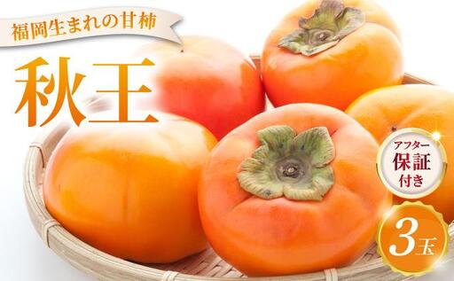 福岡より直送！種がほとんどない新ブランド 柿 秋王 3玉（2026年10月以降発送）