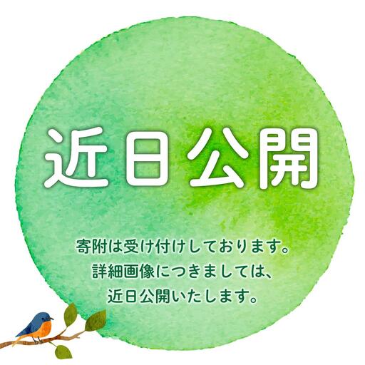 博多和牛のサイコロステーキ(肉専用にんにく塩付)