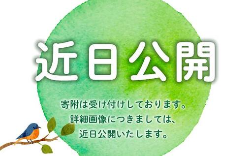 [博多辛子明太子の島本]人気No1イカめんたい160gとNo2数の子めんたい 各160g