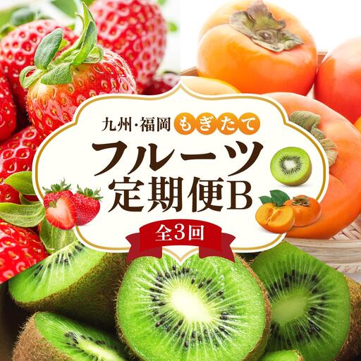 ＜定期便・全3回＞九州・福岡もぎたて フルーツ定期便 B