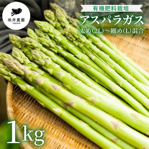 アスパラガス 1kg （6月より発送）| 2L L 春芽 新鮮 産地直送 アスパラ グリル サラダ 送料無料 福岡県 那珂川市