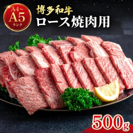 博多和牛 牛肉 焼肉 ロース 500g[肉のくまもと屋]