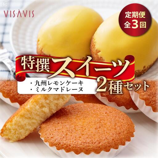 [定期便・全3回]焼き菓子 2種セット 計9点[VISAVIS]