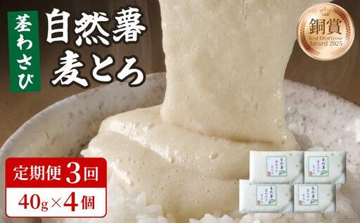 [定期便・全3回]自然薯茎わさびとろろ 40g×4個