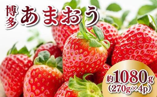【先行予約】農家直送 朝採り新鮮いちご 博多あまおう 約1080g（約270g×4パック）（2026年2月上旬より発送）
