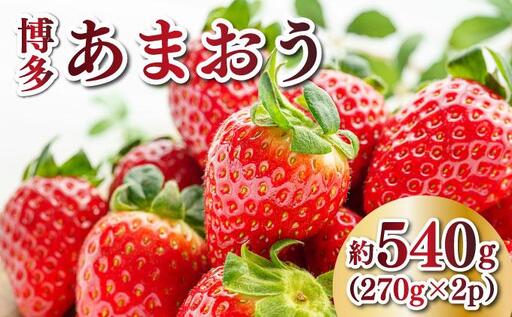 【先行予約】農家直送 朝採り新鮮いちご 博多あまおう 約540g（約270g×2パック）（2026年2月上旬より発送）