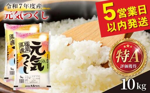 元気つくし 白米10kg