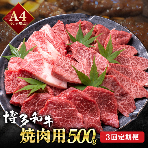 [定期便・全3回][和牛の焼肉セット!]博多和牛 焼肉用 500g 牛肉 肉 焼肉 国産 黒毛和牛