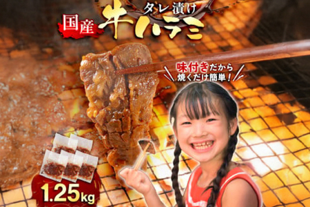  ē Y  n~ TK 1.25kg [Fz  F um40azp100006] n~ ͂ ͂     Ă z ^Ђ Ђ