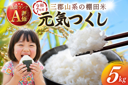 元気つくし 米 令和7年産 白米 5kg [um40azp240001] 元気つくし
