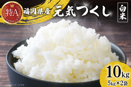 �� �ߘa7�N ���� ���C���� 5kg 2�� �v 10kg [�x�l�t�B�X ������ �F���� um40azp190011]