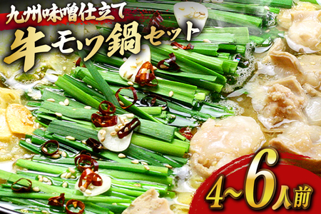 もつ鍋 セット 味噌 4〜6人前 [ベネフィス 福岡県 宇美町 um40azp190024]