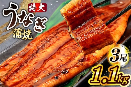 一の丑 うなぎ 蒲焼 約 1.1kg 3尾 タレ・山椒付 茶葉蒸し [大黒物産 福岡県 宇美町 um40bak830004]鰻 ウナギ 小分け うなぎ蒲焼 鰻蒲焼き 訳あり 蒲焼き かば焼き 茶葉蒸し 真空パック 個包装 冷凍 unagi