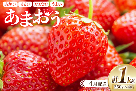 期間限定 いちご あまおう 250g×4パック[4月発送][増田青果 福岡県 宇美町 um40beq650003] 苺 イチゴ フルーツ 甘い あまい 季節限定