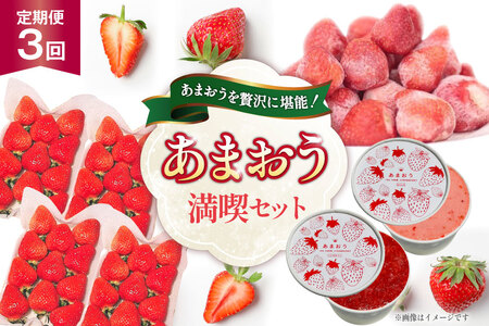 いちご あまおう 満喫セット 3回 定期便 [THE FARM_strawberry 福岡県 宇美町 um40azo780015] 苺 イチゴ 冷凍いちご 冷凍あまおう 甘い あまい アイス ジェラート シャーベット フルーツ 果物
