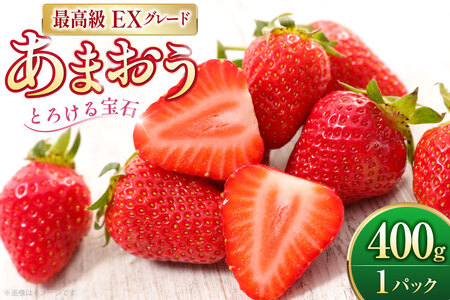 いちご あまおう プレミアムEX 400g 1パック 化粧箱入り[THE FARM_strawberry 福岡県 宇美町 um40azo780014] あまおう 苺 イチゴ 甘い