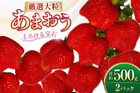 いちご 厳選大粒 あまおう 約250g～270g 2パック 計約 500g [THE FARM_strawberry 福岡県 宇美町 um40azo780013] あまおう苺 イチゴ フルーツ 果物 くだもの 甘い