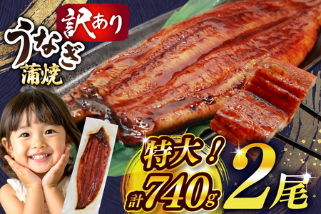 Ȃ 󂠂 V   2 v740g s KiO  [单Y  F um40bak830009]