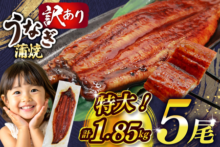 Ȃ 󂠂 V   5 v1.85kg s KiO  [单Y  F um40bak830010]