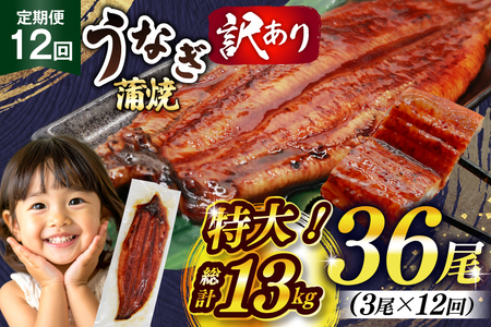 Ȃ 󂠂 V   3 12  v13kg s KiO  [单Y  F um40bak830017]