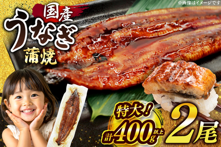 うなぎ 国産 鰻 蒲焼 特大 約200g 2尾 計400g以上 小分け [有頭][大黒物産 福岡県 宇美町 um40bak830011]