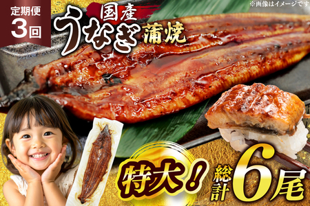 うなぎ 国産 定期便 鰻 蒲焼 特大 約200g 2尾 計400g以上 3回 総計約1.2kg 小分け [有頭][大黒物産 福岡県 宇美町 um40bak830018]