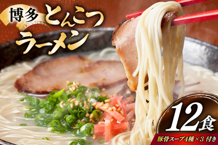 Ƃ񂱂[ 12H 1100g 4ނ̖{ꔎ̕YX[v lߍ킹 [YēؘƉz̓X k̓m  F um40bfw560010]