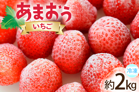いちご 冷凍 あまおう 約2kg [地域商社ふるさぽ 福岡県 宇美町 um40bfw220008]