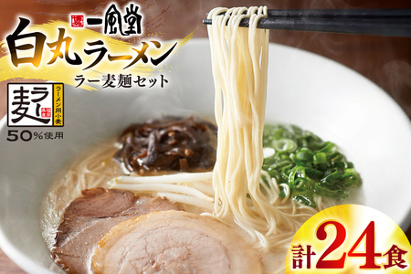 [ ꕗ  [ Zbg 24H [n揤Ђӂ邳  F um40bfw220003]