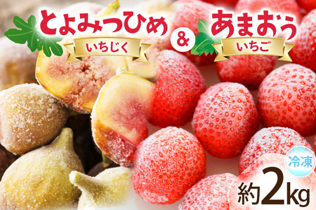 �t���[�c �Ⓚ ���܂��� �� �Ⓚ ��݂Ђ� �Z�b�g �v��2kg [�n�揤�Ђӂ邳�� ������ �F���� um40bfw220006]