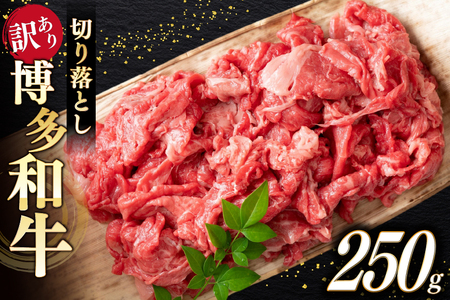 牛肉 訳あり A4 A5 博多和牛 切り落とし 250g [木村食品 福岡県 宇美町 um40beg040039] 