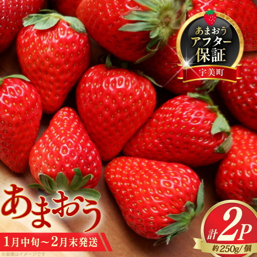 いちご あまおう 約250g × 2P 1月中旬 ～ 2月末 [um40azp140007] いちご
