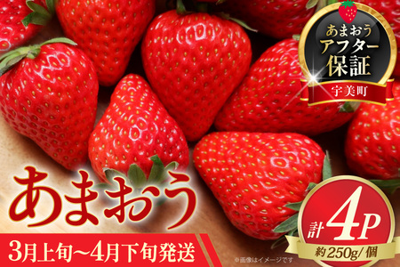 あまおう いちご 約250g×4P 3月上旬 4月下旬 [一千也フーズ 福岡県 宇美町 um40azp140005] 